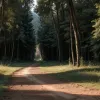 Crimă în Toscana: O turistă germană a fost găsită moartă, cu urme de violență