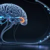 O pastilă zilnică împotriva bolii Alzheimer? Cercetătorii o testează, sperând să fie "Sfântul Graal"