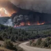 Germania: Incendii forestiere majore în Turingia și Saxonia, scăpate de sub control