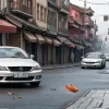 Cruzime Incredibilă în China: Un șofer a transportat pești vii pe capota mașinii, iar trecătorii i-au lovit