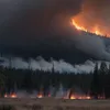 Incendii forestiere în Germania: Costurile uriașe pun în dificultate autoritățile locale