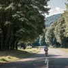 Șoferul a țipat la un biciclist de 13 ani în Freiburg: adolescentul, rănit grav după cădere