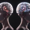Nouă descoperire: RMN-ul creierului cu AI poate prezice îmbătrânirea biologică și riscul de boli grave