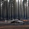 Tragedie aviatică în Austria: Un avion de mici dimensiuni, plecat din Germania, s-a prăbușit cu patru persoane la bord