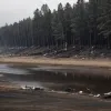 Incendiu minor în Germania: persoane necunoscute au aprins un foc de tabără lângă un magazin