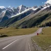 Turist italian ucis de urs pe Transfăgărășan după ce a încercat să îl hrănească și să facă selfie-uri