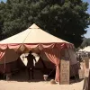 Director de circ german, judecat pentru agresiune asupra unui activist pentru animale și rezistență la arestare