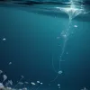 Eroii Necunoscuți: Cum Zooplanctonul Stochează Milioane de Tone de CO2 în Adâncurile Oceanului