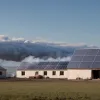 Incendiu devastator la o fermă de pui din Germania: 10.000 de păsări au murit, pagube de un milion de euro. Posibilă cauză: panourile solare?
