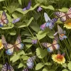 Puzzle vizual: găsește furnica ascunsă printre fluturi