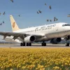 Incident inedit pe aeroport: Un stol de albine a blocat un avion la sol