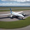 Câinii, gardienii aeroporturilor: Cum ajută patrupede specializate la securitate și alungarea animalelor sălbatice în SUA și Germania