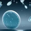 ALDI Nord recheamă somon "Graved Lachs" în Germania din cauza Listeria