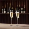 Vinuri spumante la nivel de șampanie: Calitate înaltă, preț mai accesibil
