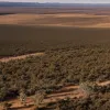 Turistă germană dispărută în Australia: Poliția se teme că s-a rătăcit în sălbăticia vastă