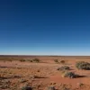 Turistă germană dispărută de 12 zile, găsită în viață în sălbăticia australiană