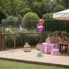 Cel Mai Faimos Hipopotam Pitic Moo Deng a Împlinit un An: Petrecere cu Paradă și Tort Gigant la Zoo