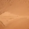 Turistă găsită în viață după 11 zile de luptă în Outback-ul australian
