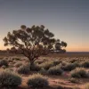 Miracol în Australia: Turistă din Germania a supraviețuit 12 zile singură în sălbăticie