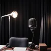 Fosta șefă a Verzilor, Ricarda Lang, în podcastul lui Ronzheimer: Despre provocările coaliției și influența extremei drepte în Germania