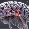 Studiu revoluționar Harvard: Deficitul de litiu, o posibilă cauză a bolii Alzheimer?