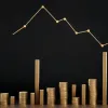 Expertă Vanguard: Cum 50 de euro lunar te pot salva de „capcana pensiei”