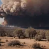 Grecia: Turist german arestat pentru incendierea unei păduri lângă orașul antic Nemea