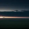 SUA folosesc drone, AC/DC și vocea lui Scarlett Johansson pentru a alunga lupii de pe pășuni