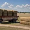 Descoperire șocantă în Texas: Traficanți de persoane ascundeau migranți în baloți de fân, riscându-le viața