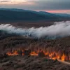 Un turist german, arestat în Grecia după ce ar fi provocat un incendiu forestier în timp ce campa