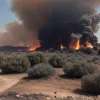 Salvare eroică: Emigranți germani și-au apărat casa de incendiile de pădure din Croația