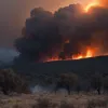 Incendii de pădure devastatoare în Spania: un mort, mii de evacuați din cauza caniculei extreme