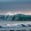 A murit Dale Webster, legenda surfingului și deținătorul unui record mondial de 40 de ani de surf neîntrerupt
