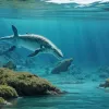 Descoperire Uimitoare în Germania: Un Nou Tip de Reptilă Marină Preistorică cu Gât Lung și Înotătoare