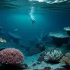 Senzație în adâncuri: 40 de noi specii de animale descoperite în largul coastelor Argentinei