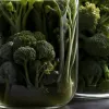 Brocoli mortal: Două decese și 18 intoxicații în Italia din cauza botulismului