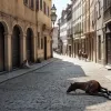 Cruzime șocantă în Dublin: un cal de trăsură s-a prăbușit de epuizare sub soarele arzător