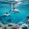 Fenomen uimitor: Balene și delfini, observați tot mai des aproape de New York