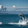 Incident șocant în Dorset: Un delfin a încercat să înece o femeie în timpul înotului