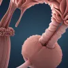 Studiu șocant: Alergătorii de maraton și ultramaraton, un risc crescut de cancer colorectal?