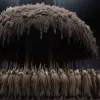 Ce este „Regele Șobolanilor”: un fenomen natural înfricoșător, nu un mit