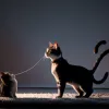 Misterul "Miau": Ce vor, de fapt, pisicile să-ți transmită?