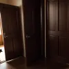 De ce pisicile cer mereu să intre și să iasă? Descoperim secretele comportamentului felin