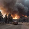 Pompierii din Bonn sprijină Spania în lupta cu cele mai mari incendii forestiere din ultimele decenii