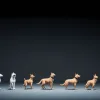 Dresoarea de câini dezvăluie: Această comandă populară este total inutilă în dresaj!