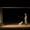 Paznicul de noapte de la Grădina Zoologică din Gelsenkirchen: Singur cu lupi și hiene, asigurând siguranța
