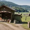 Hoțul în costum de baie terorizează o fermieră din Bavaria: Poliția, neputincioasă în fața dovezilor video