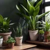 Salvarea plantelor după vacanță: Inteligența Artificială vine în ajutor