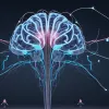 Doping natural pentru creier: cum sportul stimulează inteligența și creșterea celulelor nervoase