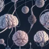 Oamenii de știință germani au descoperit o metodă inovatoare de a „adormi” celulele canceroase cerebrale